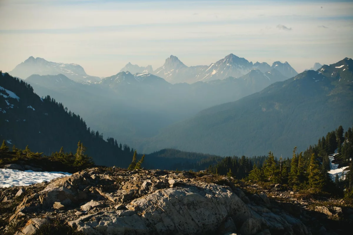 Czy ktoś też potrzebuje Portal medyczny?