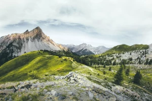 Metody jak dobrze złożyć raport do kobize